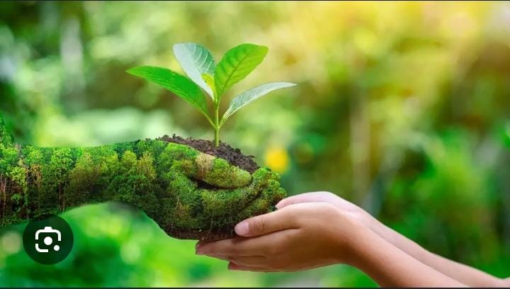 Conociendo nuestro medio ambiente